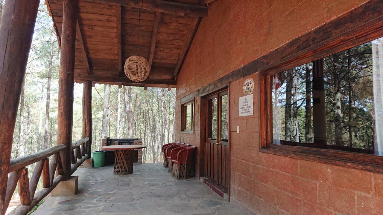 Cabanas Tapalpa Sierra Del Tecuan, Cabana Lince Extérieur photo