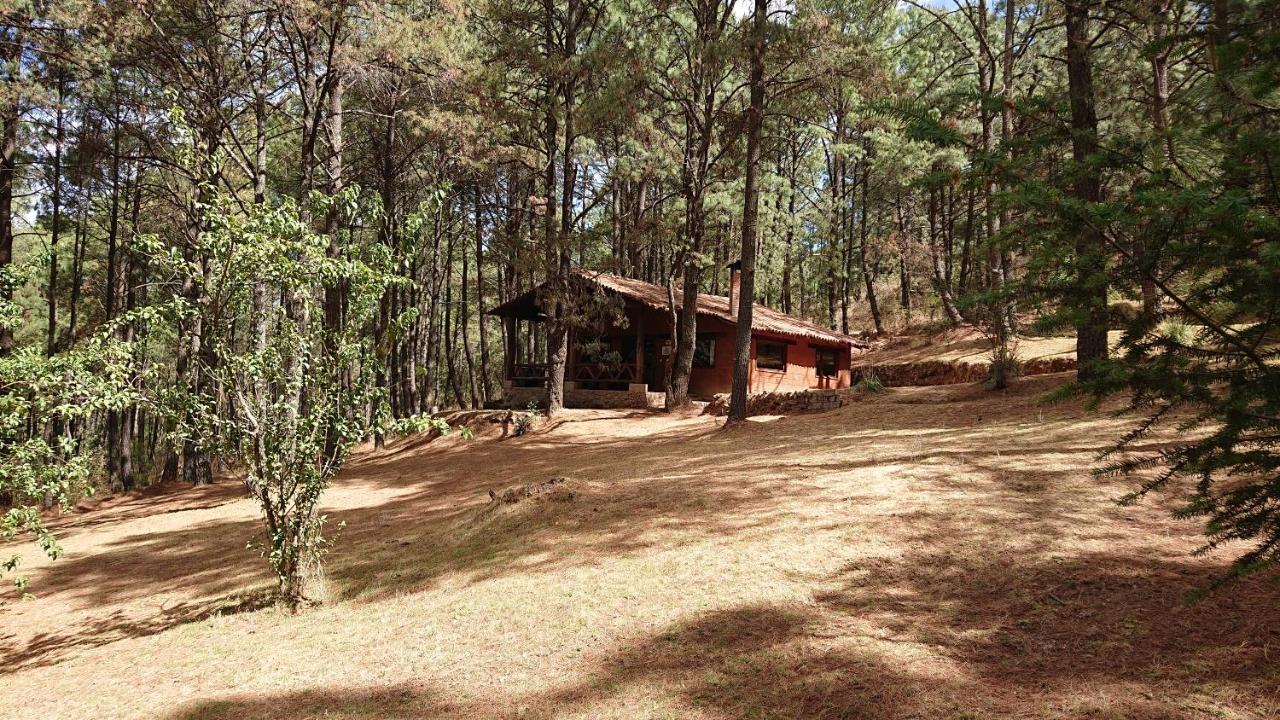 Cabanas Tapalpa Sierra Del Tecuan, Cabana Lince Extérieur photo