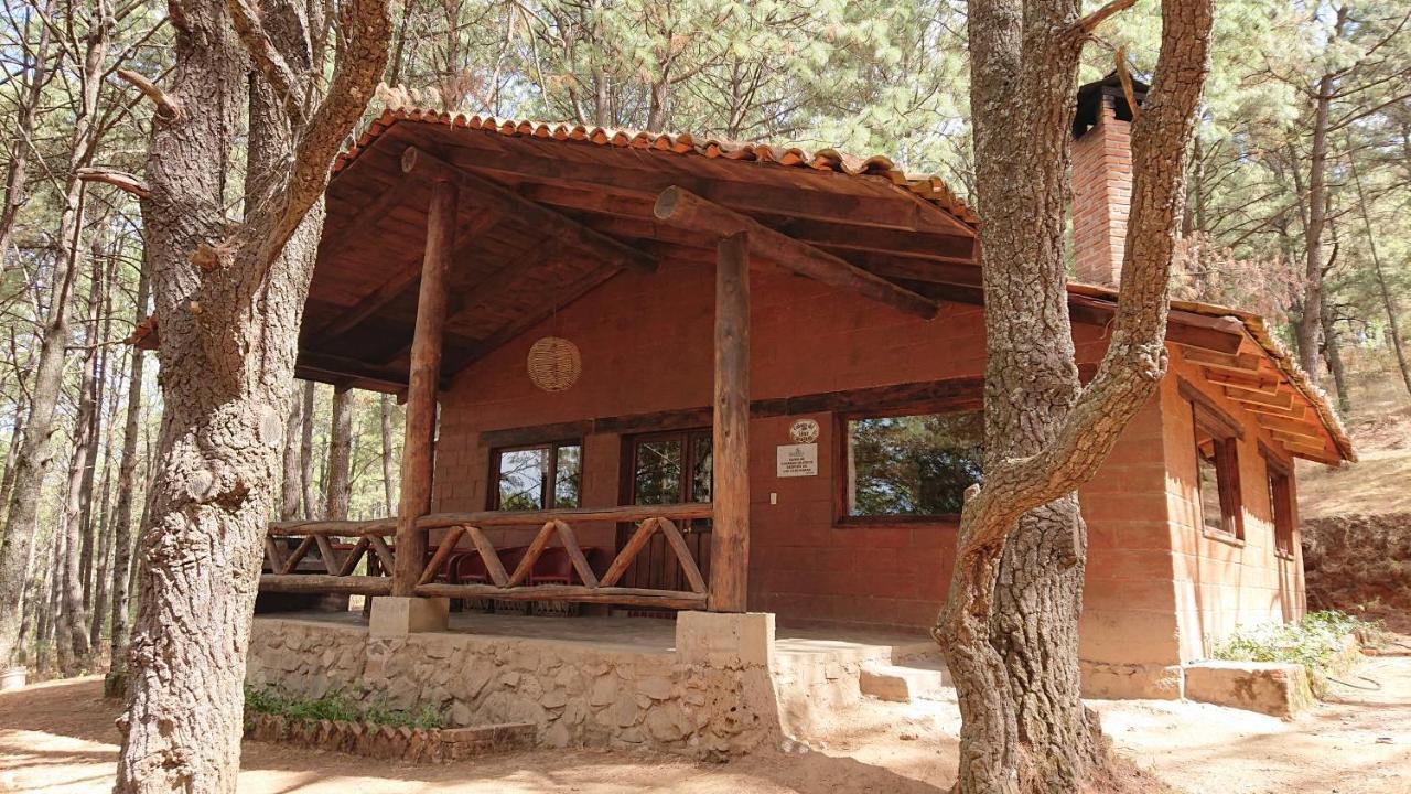 Cabanas Tapalpa Sierra Del Tecuan, Cabana Lince Extérieur photo